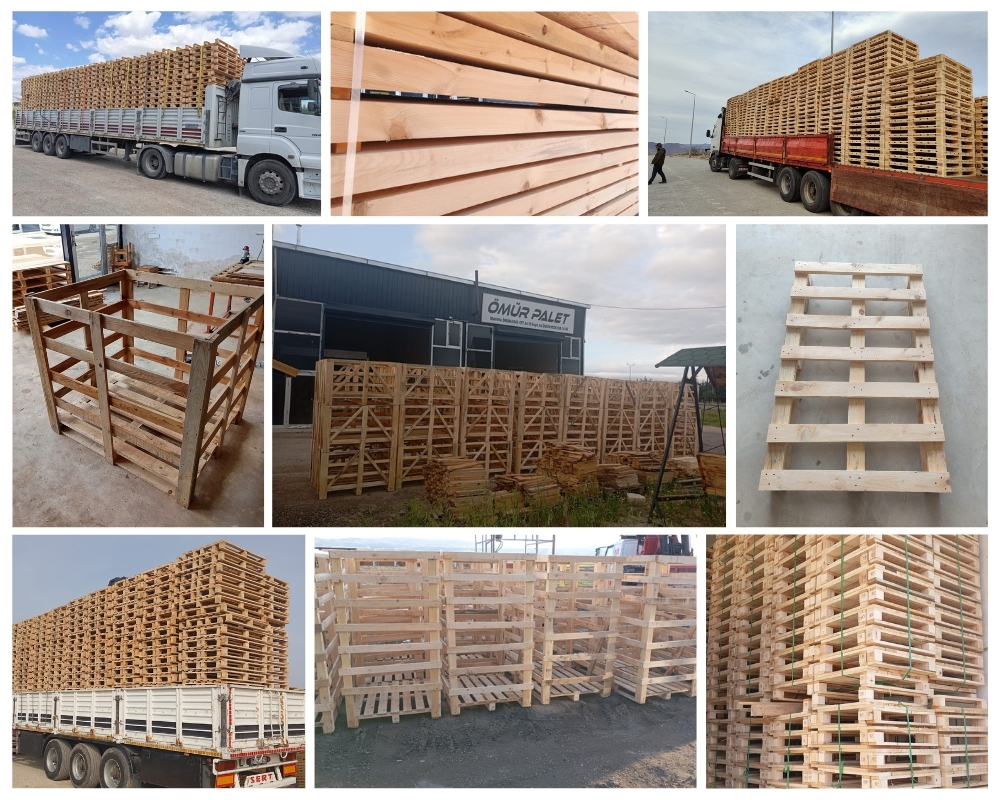 Monster Houten Kisten, Europallets Groothandel Kopen
